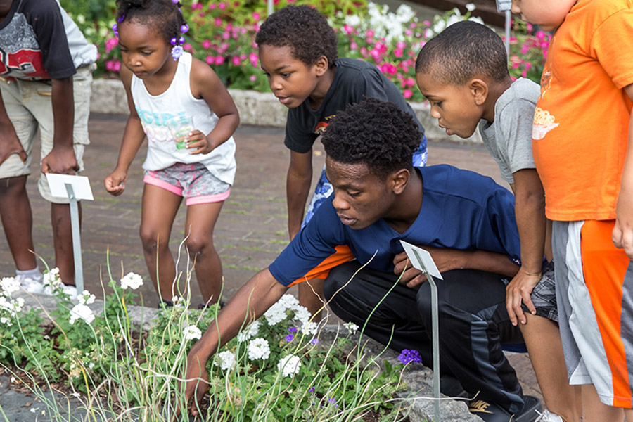 Young adult showing children plants