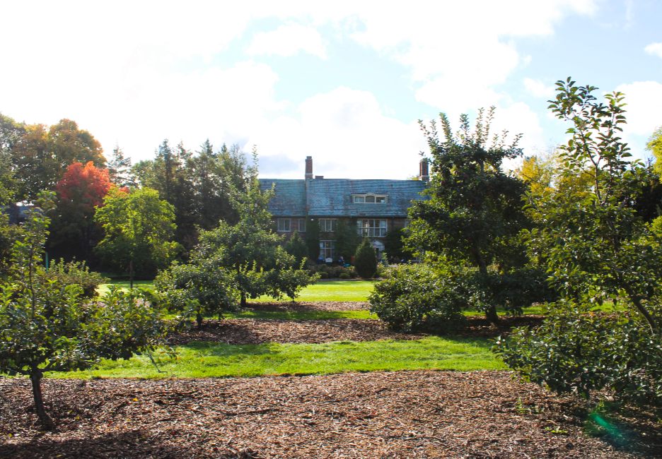 A view of the house at Applewood from the orchard