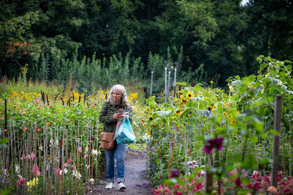 Cut garden at Applewood