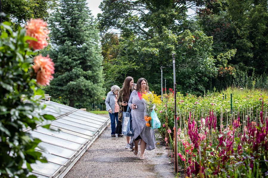 Visitors walk through the cut garden