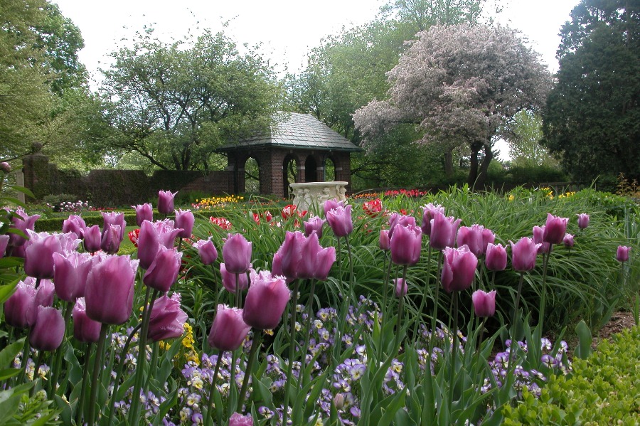 Perennial Garden at Applewood