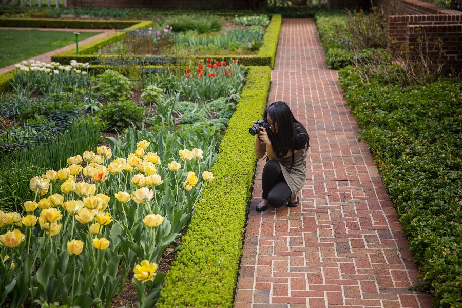 Perennial Garden at Applewood