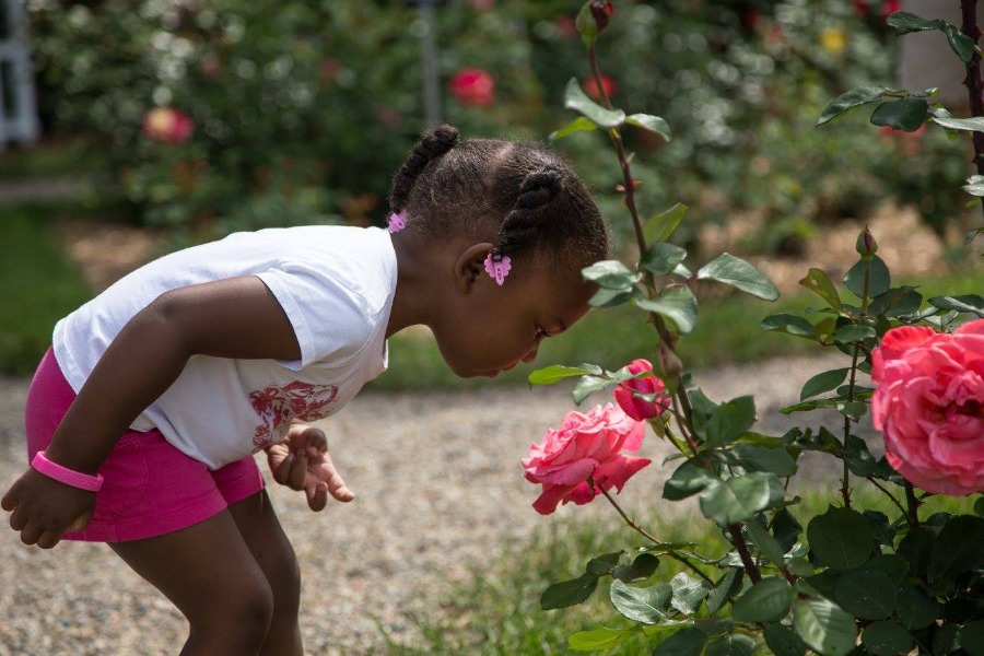 A girl smelling a rose at Applewood