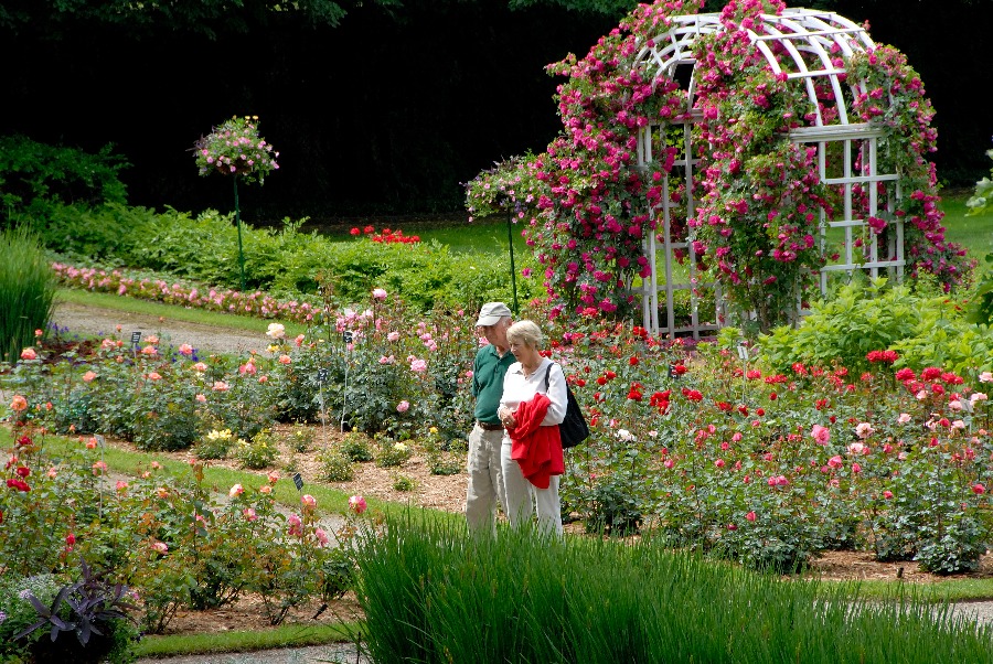 Rose Garden at Applewood