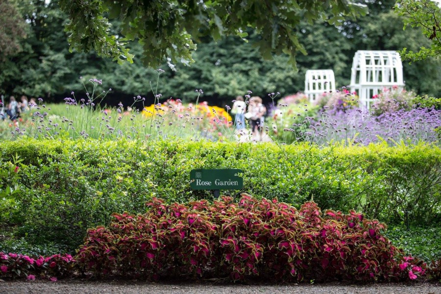 Rose Garden at applewood