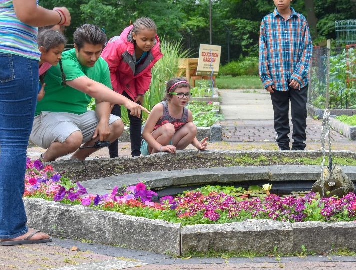 Students on a field trip look into the pond