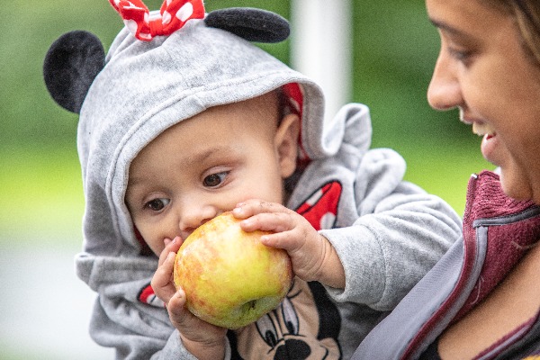 A baby bites into an Applewood apple
