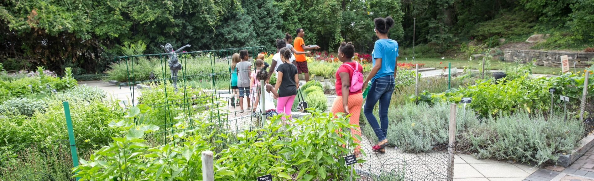 Field trip in the gardens