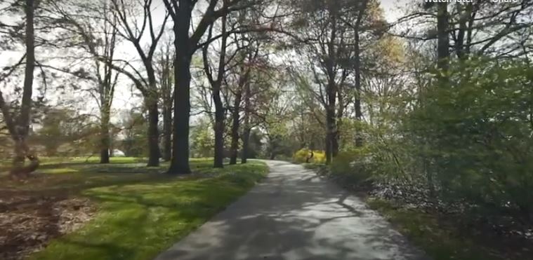 A walking path through Applewood