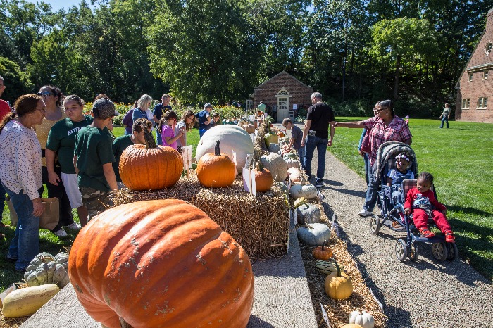 A crowd of people walk by a harvest display with pumpkins and straw bales