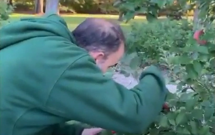 A man pruning flowers at Applewood.