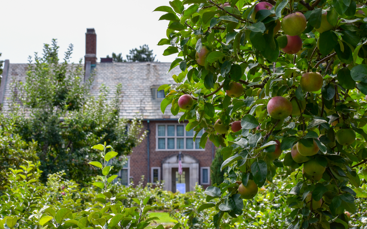 The house at Applewood as viewed from the apple orchard