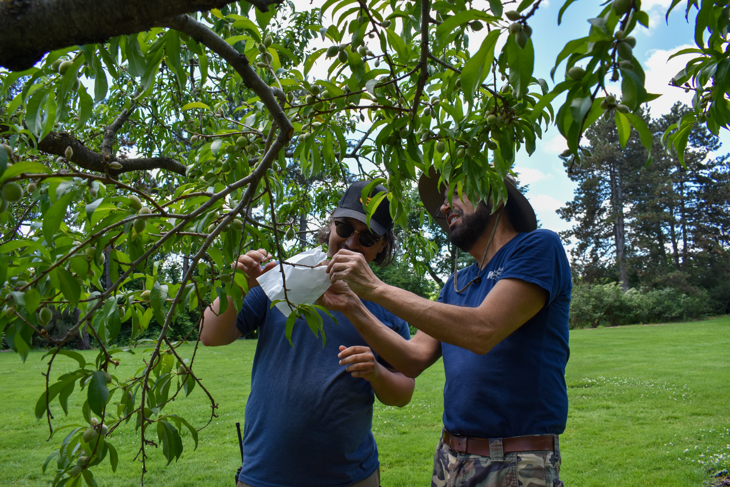 https://www.ruthmottfoundation.org/wp-content/uploads/2022/06/In-the-Gardens-6.9.22-21-scaled.jpg