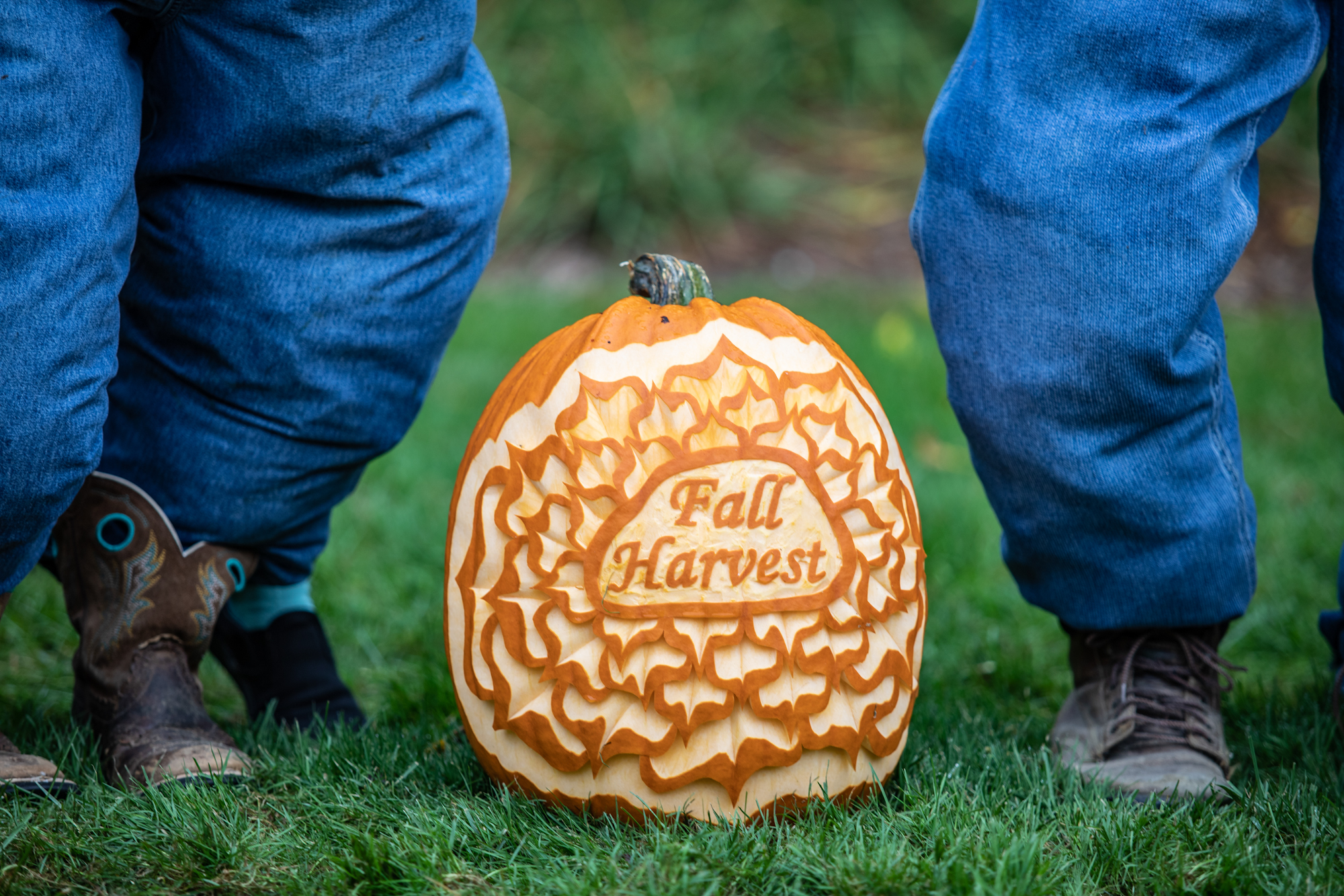 A pumpkin decoratively carved to say 