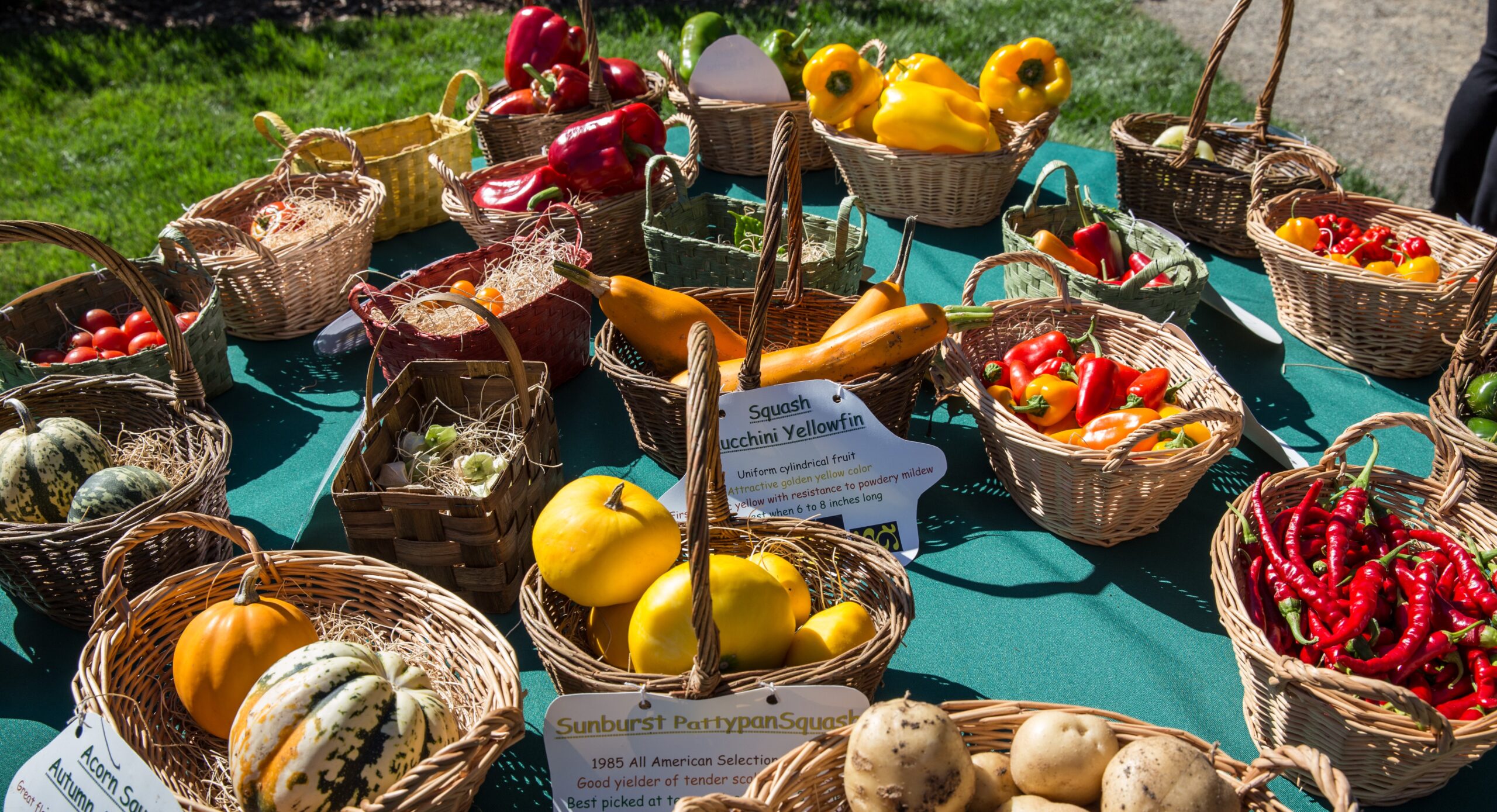 A colorful array of produce in baskets on a table outdoors