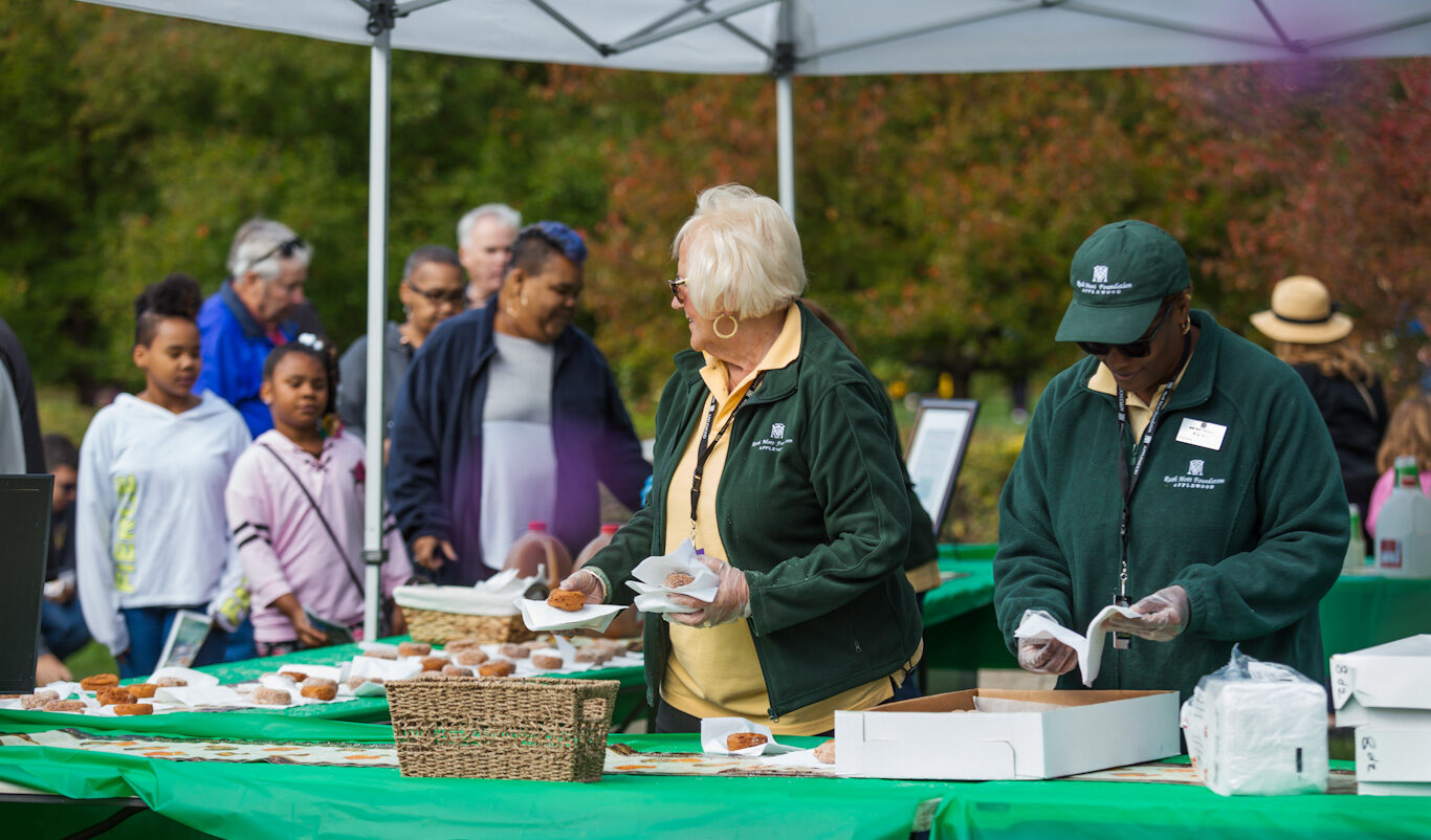 Two volunteers wearing yellow volunteer shirts and plastic gloves help hand out donuts and napkins to a group of several visitors under a pop up tent at Applewood.