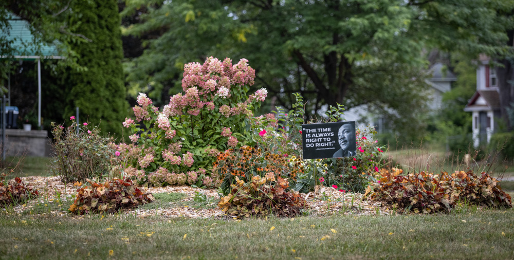 A garden with hydrangeas and other shrubs and a yard sign with Martin Luther King Jr's image that reads, 