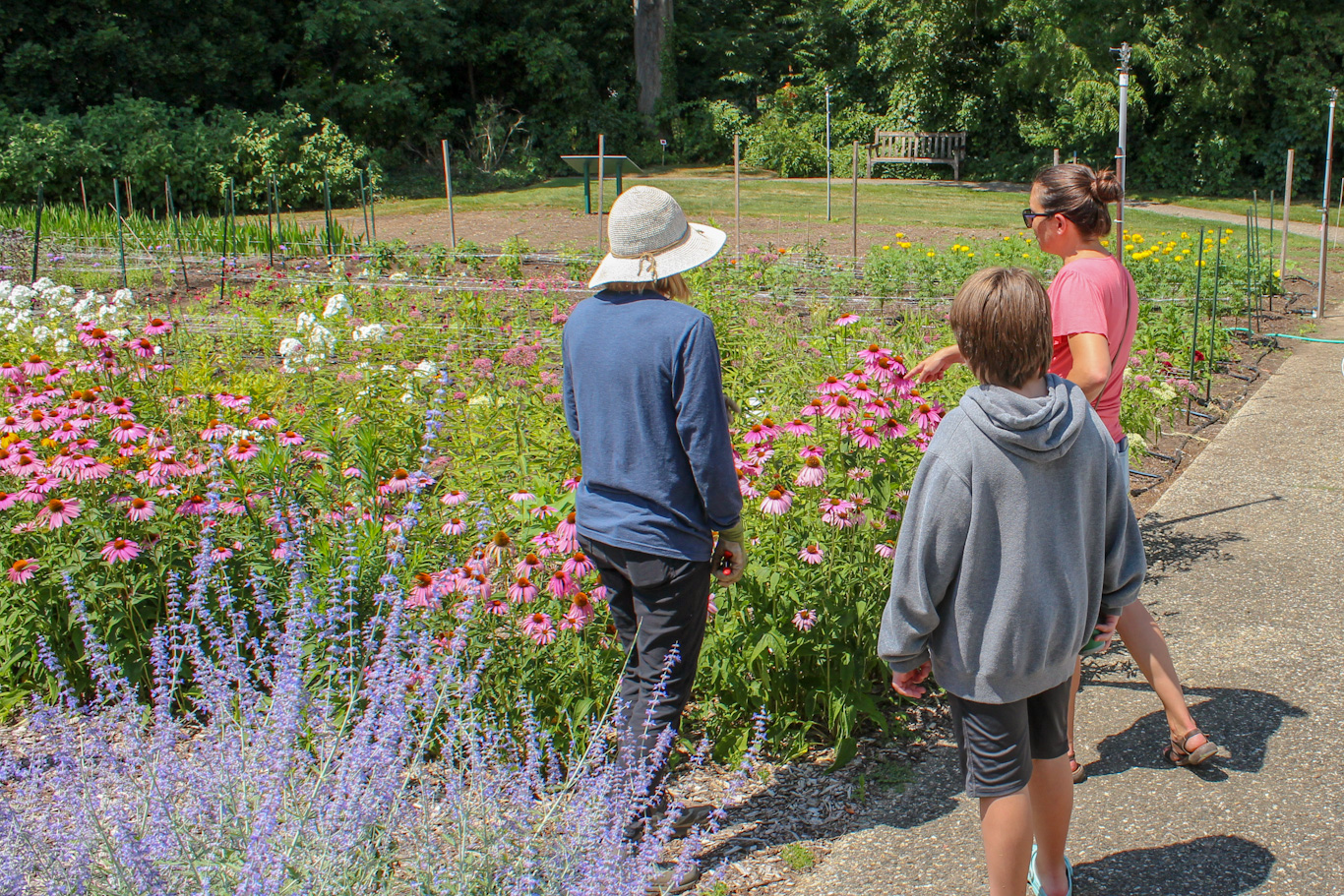 A woman in a pink t-shirt points to a tall blooming pink flower in the cut garden at Applewood while a staff person in a blue t-shirt and wearing a sun hat looks on.