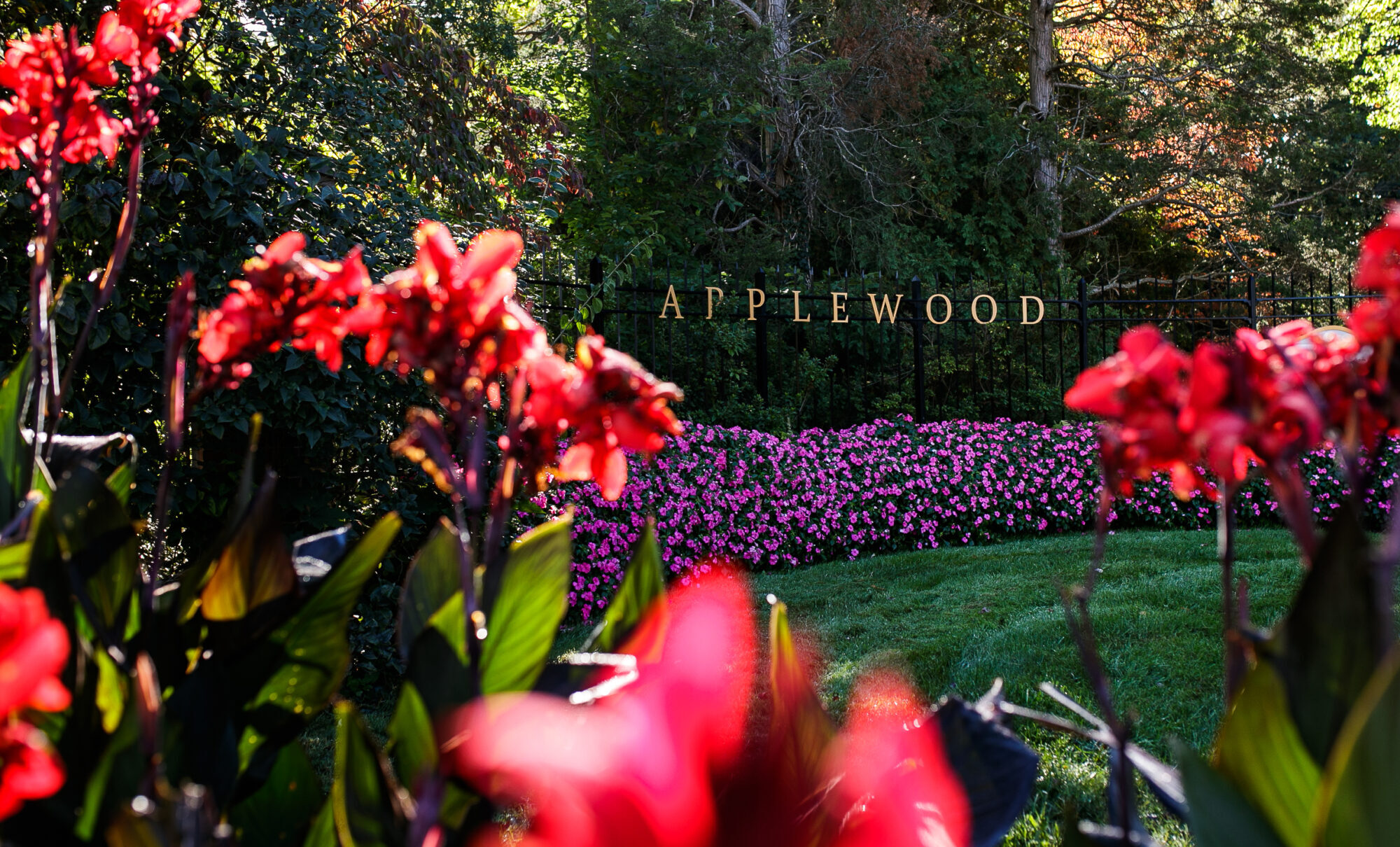 Flowers bloom int eh foreground. In the background, you can see the entrance gate with 