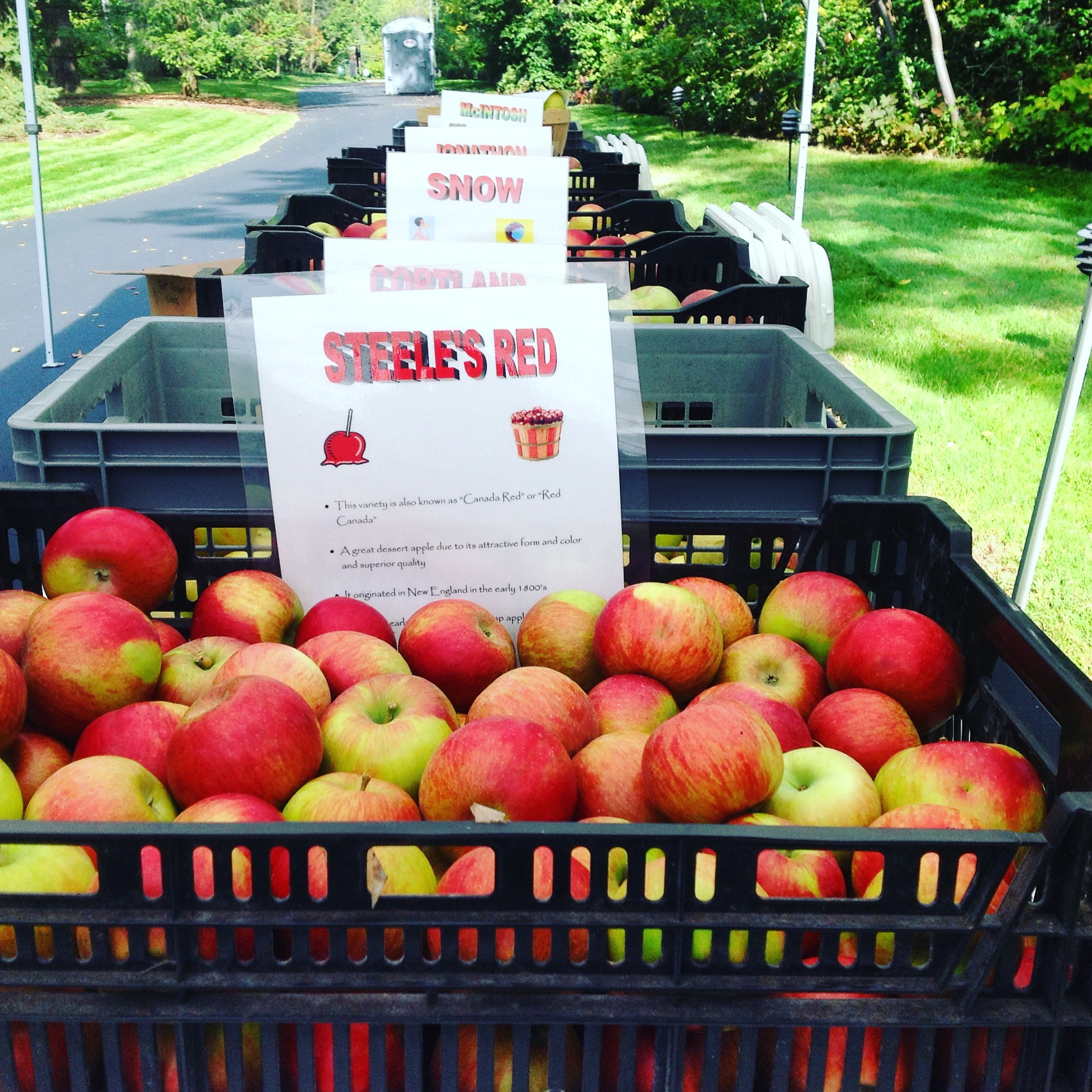 https://www.ruthmottfoundation.org/wp-content/uploads/2023/09/crates-of-red-apples-from-orchard.jpg