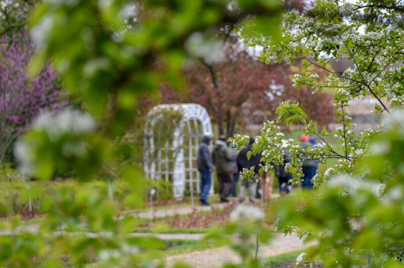 A group of people gathered in a garden with a white archway, surrounded by blooming trees and greenery for the Applewood Programs.
