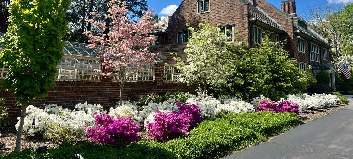 There are pink and White Delaware Azalea blooming in front of the main house at Applewood.