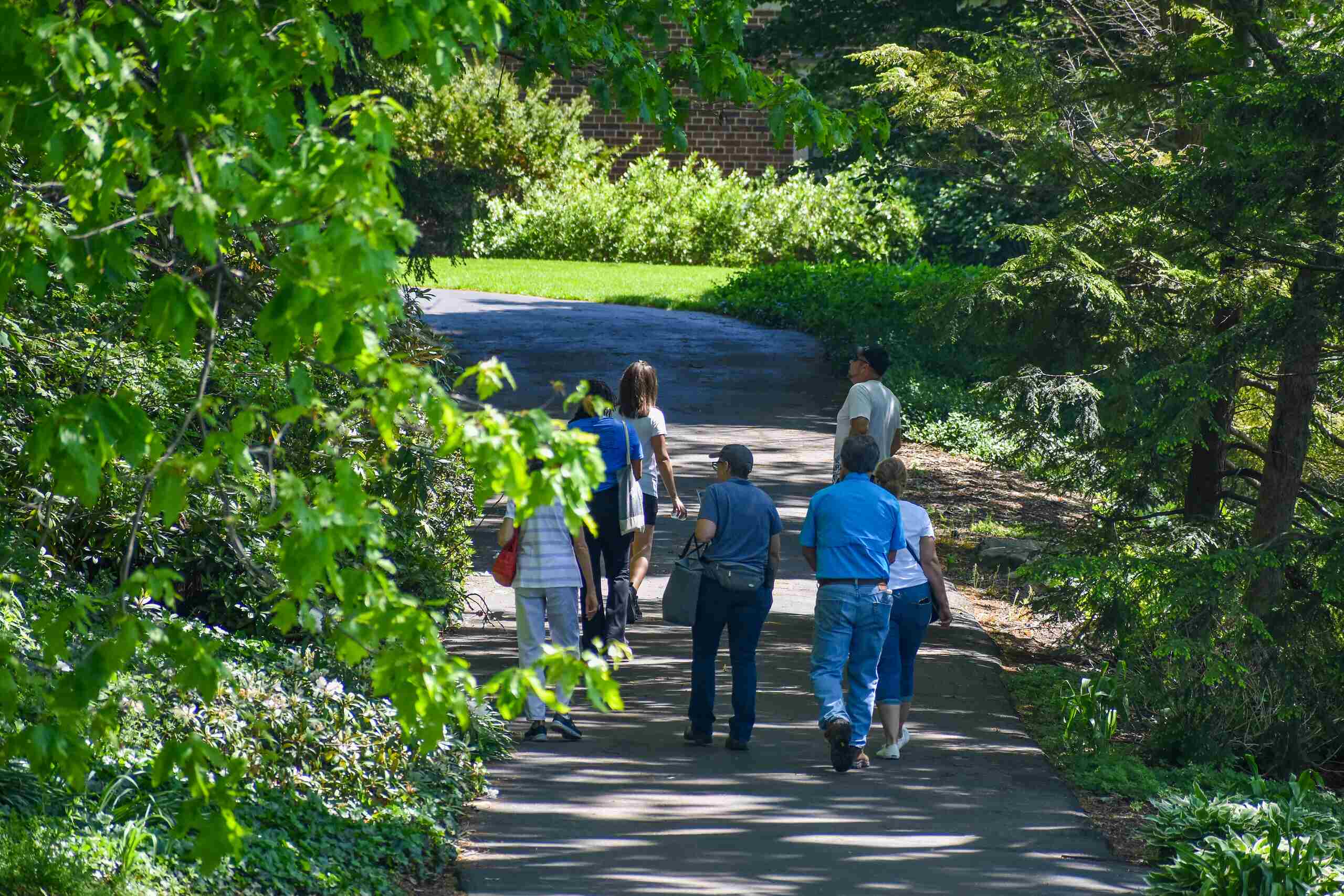 A group of people walk together along a paved path surrounded by green trees and plants on a sunny day during an Applewood Guided Mindfulness Event.