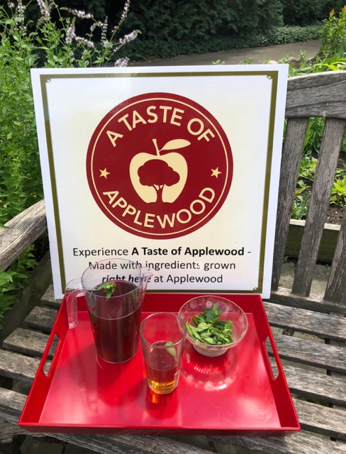 A red tray with a pitcher of tea, a glass, and a bowl of green leaves sits on a bench in front of an 